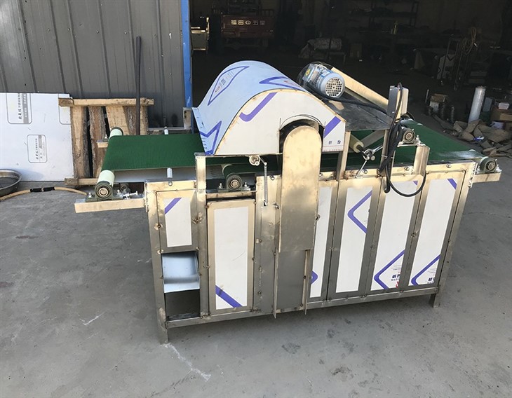 Fish Cutting Machine factory